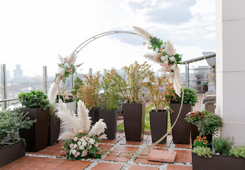 Фото №3 зала Доктор на крыше