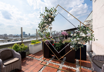 Фото №5 зала Доктор на крыше