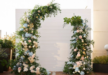 Фото №4 зала Доктор на крыше